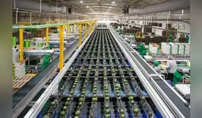 Ley Chlimper 2.0: Camposol, Beta, Danper y qué otras grandes agroexportadoras se perfilan con la reducción de impuestos por 10 años