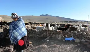 Heladas azotan Puno: Senamhi alerta sobre próximas temperaturas de congelamiento de hasta menos 20 grados
