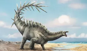 El cráneo de un estegosaurio español de 150 millones de años cambiaría la historia de la evolución de los dinosaurios