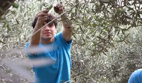 ¿Por qué es importante que los estudiantes aprendan la ecología y la sostenibilidad en el colegio?: claves para un futuro responsable