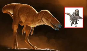 El ‘Príncipe Dragón’, un nuevo dinosaurio descubierto en Mongolia, según estudio científico: es pariente del T. rex