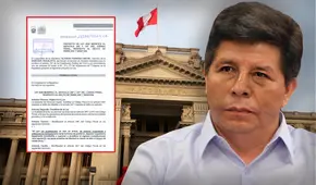 Congreso: Bancada Socialista busca modificar delitos por los cuales es juzgado Pedro Castillo