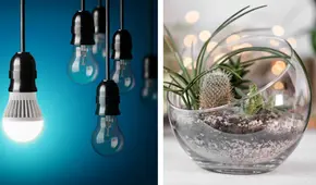 ¿Qué hacer con los focos quemados? Recíclalos y crea decoraciones ecoamigables para tu hogar