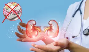 Cómo mejorar la salud renal de forma natural: remedios efectivos para tus riñones