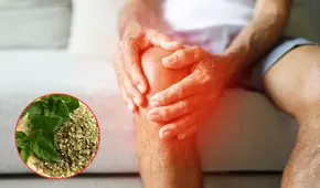 Descubre cómo esta especia mediterránea puede ser la aliada perfecta de tus articulaciones