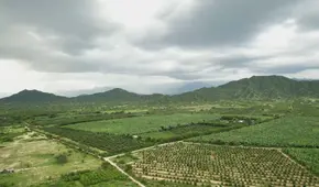 De tierras secas a amplios cultivos: Cómo Olmos impulsa la productividad agrícola en Valle Viejo