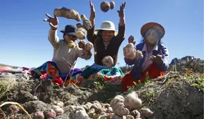 Día del Campesino 2025 en Perú: por qué se celebra hoy 24 de junio y cuál es su origen de esta festividad