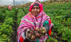 50 frases por el Día del Campesino 2025: los mejores saludos y mensajes para el 24 de junio