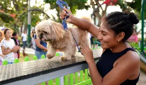 Lista de malls pet friendly en Lima: conoce los centros comerciales que aceptan mascotas