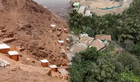 La selva escondida en desierto de Lima: mujer ayacuchana crea oasis verde con más de 100 especies en SJL