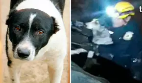 Serenos de Lima rescatan a ‘Rambo’, perrito que cayó al río Rímac junto al triciclo de su dueño