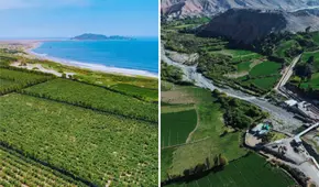Estos 4 megaproyectos peruanos duplicarían las agroexportaciones, según Midagri: se ubican en La Libertad, Áncash, Arequipa y Piura