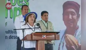 Denuncia constitucional contra Dina Boluarte por homicidio lleva medio año estancada