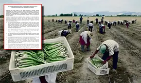 Economistas y exfuncionarios llaman a frenar Ley Chlimper 2.0: "Sin mejores remuneraciones y condiciones laborales no hay desarrollo"