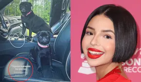 Ángela Aguilar lanza fuerte mensaje en sus redes a críticos con canción de Valentín Elizalde: "Siguen ladrando los perros" Ángela Aguilar lanza fuerte mensaje en sus redes a críticos con canción de Valentín Elizalde: "Siguen ladrando los perros"