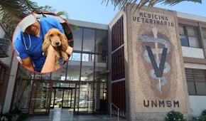 Clínica veterinaria San Marcos: cuál es el tarifario de precios, dirección y qué servicios ofrece para tu mascota