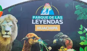 Zoológico Huachipa: conoce los precios y quiénes tendrán pase libre