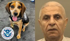 Hombre egipcio es deportado tras patear a perro policía de CBP: can había olfateado productos prohibidos en su maleta