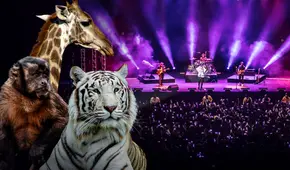 Concejo Metropolitano de Municipalidad de Lima da luz verde al Arena Lima sobre el Parque de las Leyendas: ¿qué significa su aprobación? Esto dicen los expertos