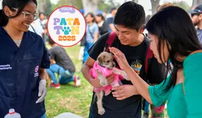 Patatón 2025: el festival de animales rescatados que busca recolectar 10 toneladas de comida para refugios de todo el país: ¿cómo participar?
