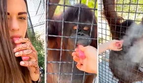 Deportista rusa genera indignación tras difundir video donde hace fumar a orangután en peligro de extinción