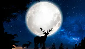 Calendario lunar de julio: cuándo brillará la luna llena y cuáles serán las fases lunares en este mes