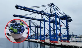 Megapuerto de Chancay: primeros arándanos peruanos de temporada llegaron en menos de 30 días a China