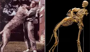 La increíble historia del científico que donó su esqueleto y el de su perro para ser exhibidos juntos en un museo de EE. UU.