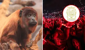 Construcción del "Arena Lima" cerca al Parque de Las Leyendas podría generar confusión en los animales, advierten expertos de San Marcos