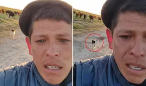 Hombre fue despedido por su jefe y llora al separarse del perrito que lo acompañó 11 años al trabajo: “Lo voy a extrañar”