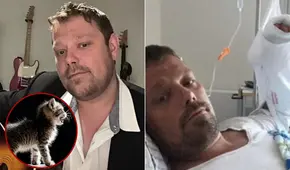 Hombre adoptó una camada de gatos en Dinamarca, pero falleció por una rara infección bacteriana tras ser mordido por una de ellas