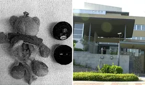 Profesoras maltratan a niños con síndrome de Down en colegio en España: grabadora oculta en peluche revela los abusos