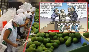 Beneficios de la Ley Chlimper 2.0: Carlincatura expone cómo las agroexportadoras celebran mientras el Estado pierde millones de soles