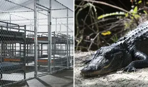 Inmigrantes detenidos en el centro 'Alligator Alcatraz' denuncian trato inhumano : “Hace cuatro días que no me baño”
