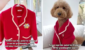 El perro que usó una chaqueta familiar guardada por tres generaciones: “Le quedó perfecto”