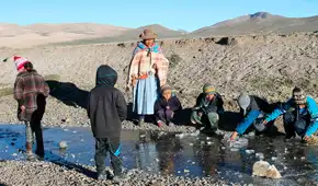 Frío mató a cuatro niños por neumonía y afecta a ancianos en zonas altas de Puno Frío mató a cuatro niños por neumonía y afecta a ancianos en zonas altas de Puno