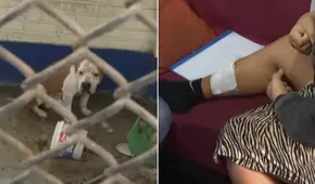 Mujer queda gravemente herida tras ataque de perro pitbull sin bozal ni correa en Santa Anita: "Me tiré al piso para cubrirme la cara" Mujer queda gravemente herida tras ataque de perro pitbull sin bozal ni correa en Santa Anita: "Me tiré al piso para cubrirme la cara"