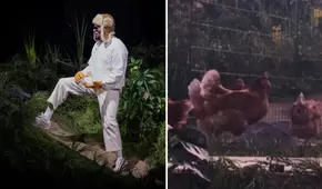 PETA denunció a Bad Bunny por usar gallinas vivas en sus conciertos de Puerto Rico: "Una pesadilla para los animales"