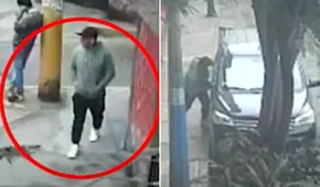 Roban camioneta de veterinaria con un perrito adentro justo cuando iba a ser entregado a su dueño en El Agustino