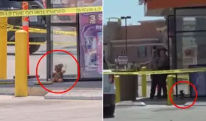 Hallan oso de peluche con falsa piel humana en un paradero de bus en EE.UU. y desata caos: era una obra artística de terror