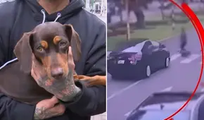 Encuentran a perrita 'Rumi', que desapareció tras atropello junto a su cuidadora en Miraflores