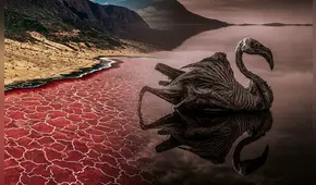 El lago en África con geología volcánica que convierte animales muertos en piedra, pero es clave para la reproducción de otros seres vivos