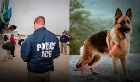 ICE obliga a familia de inmigrantes en Los Ángeles a autodeportarse de EEUU: tuvieron que dejar su perro en refugio ICE obliga a familia de inmigrantes en Los Ángeles a autodeportarse de EEUU: tuvieron que dejar su perro en refugio