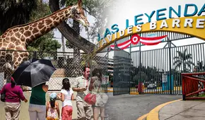 Fiestas Patrias en el Parque de las Leyendas: conciertos, talleres y shows gratis este 28 y 29 de julio