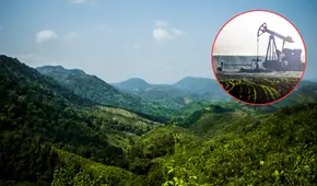 Retrocesos en la legislación ambiental en América Latina alarman a expertos y activistas