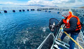 Formalización pesquera avanza: más de mil operadores obtienen habilitación sanitaria en 2025