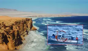 Pescadores asesinan a lobo marino que se quedó enredado en malla de pescar en la Reserva Nacional de Paracas