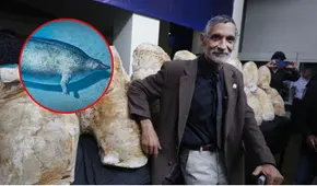 Paleontólogo peruano Mario Urbina halla 5 especies fósiles marinas inéditas en el desierto de Nasca: "No hay precedentes en el mundo"