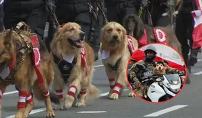 Usuarios reclaman ausencia de la policía canina en desfile de Fiestas Patrias: “Justicia para Chato"