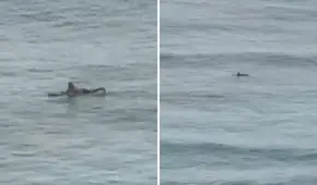 Video capta a surfista en busca de olas del tsunami en Hawái en pleno estado de emergencia en EEUU